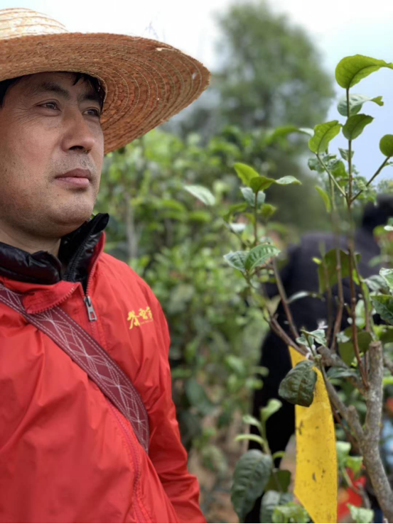 茶东家2019新品发布会在邦东茶乡圆满举行