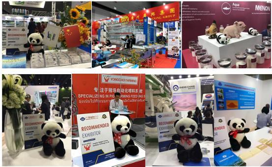 VIV Qingdao带领中国畜牧联动国际 2.0版本全新升级亮相泰国曼谷
