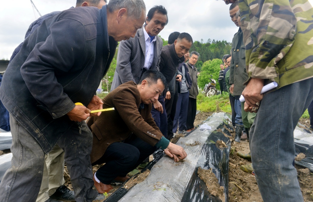 黎川下桥村人口_黎川古镇景点及介绍