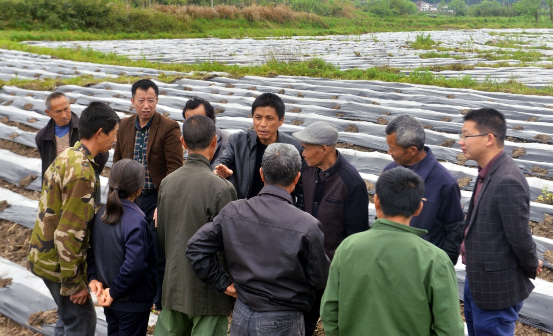 黎川下桥村人口_黎川古镇景点及介绍(2)