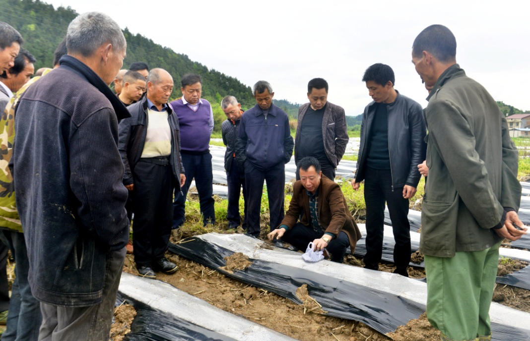 黎川农民田间课堂忙充电