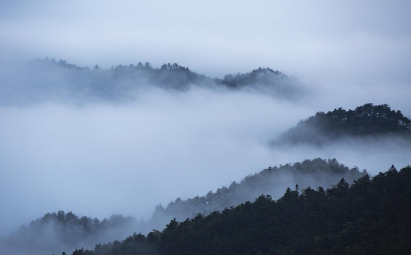 雨后庐山云雾缭绕美不胜数