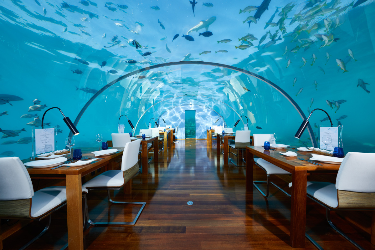 的国际酒店品牌,马尔代夫伦格里岛康莱德度假村拥有全球第一家海底餐