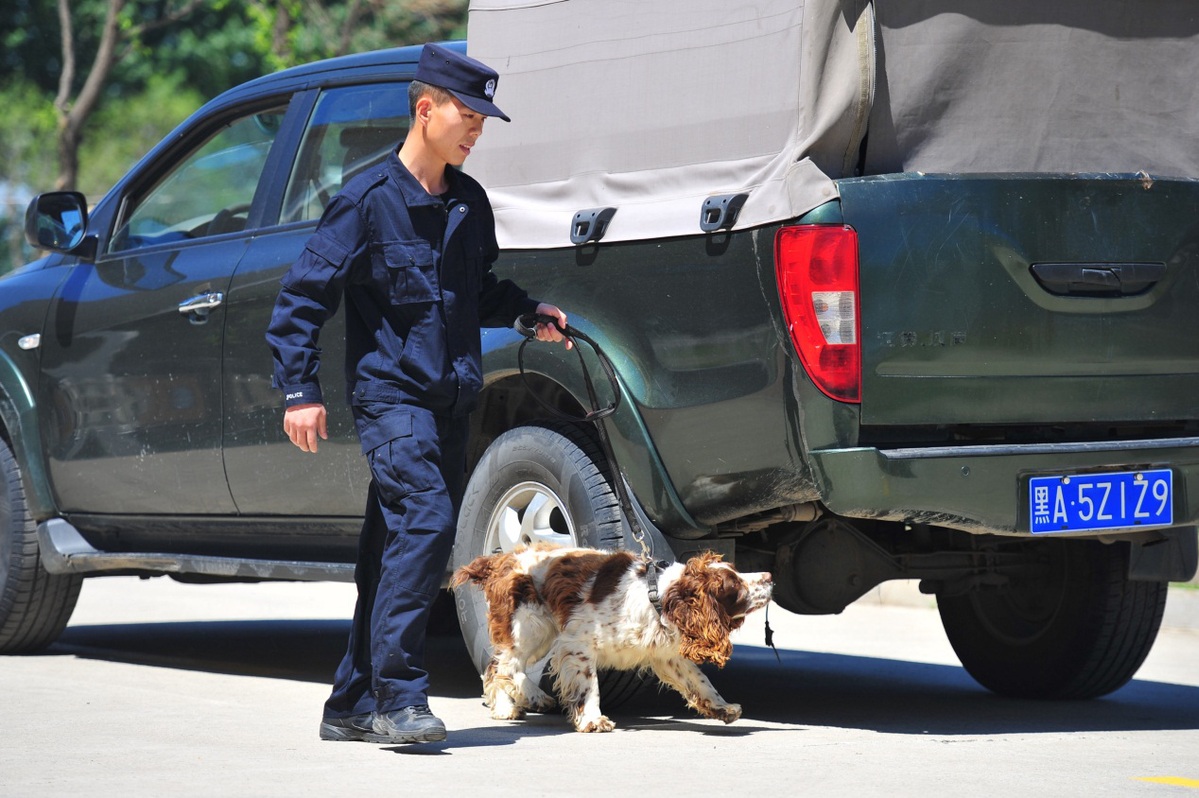 135只警犬将奔赴执勤一线 结业考核精彩纷呈