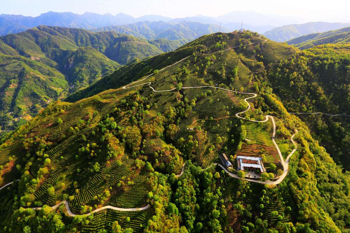 四川省第十屆鄉村文化旅遊節(夏季)將在廣元青川舉行