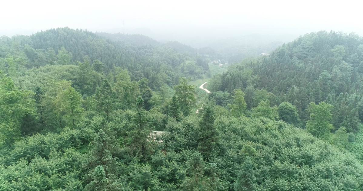 DJI_0062.MP4.00_00_04_25.静止001.jpg