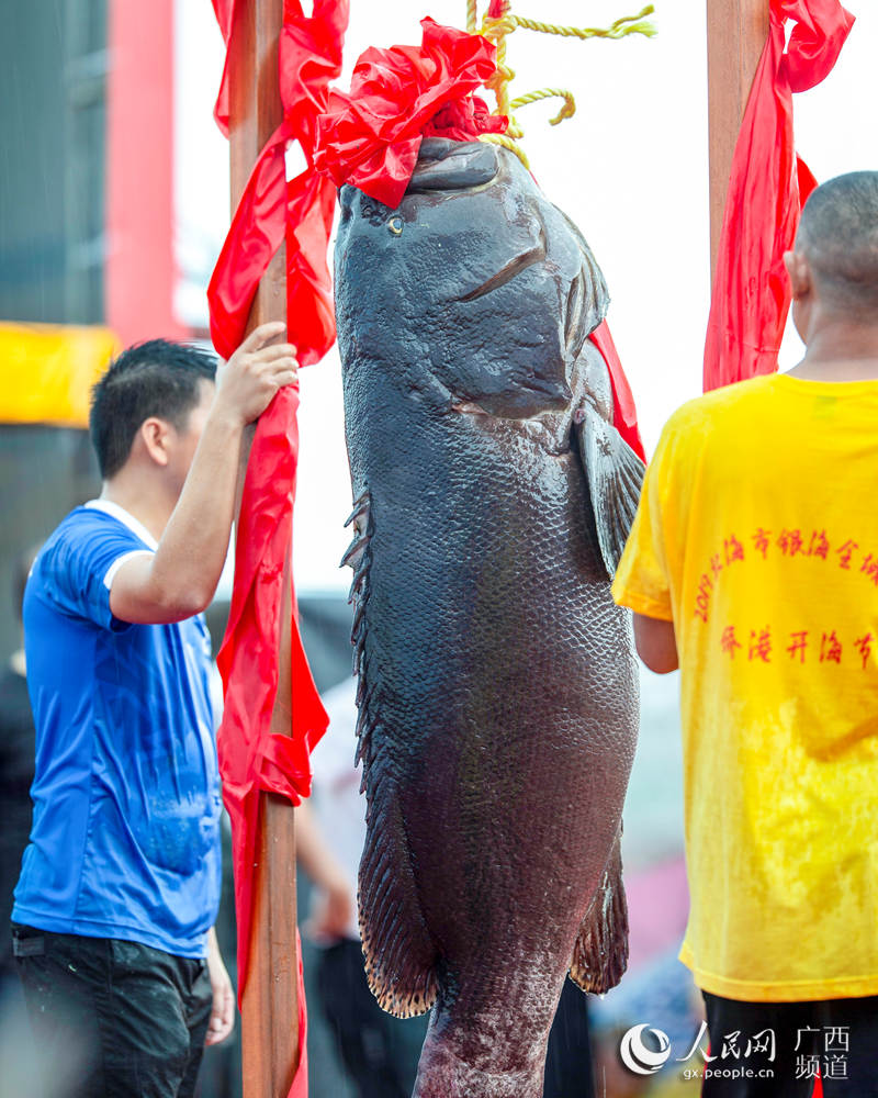 图为182斤重的“鱼王”（毕建东/摄）