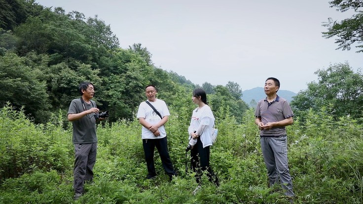 节目组与朱鹮保护者 徒步行走数十里山路 探访朱鹮发现地——秦岭姚家沟.jpg