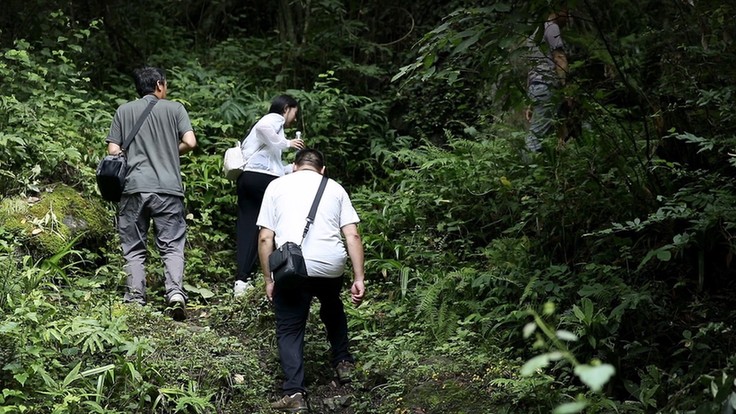 节目组与朱鹮保护者 徒步行走数十里山路 探访朱鹮发现地——秦岭姚家沟2.jpg