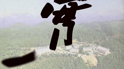 【奋进的中国精神】3亿青山献国家，点赞草鞋书记