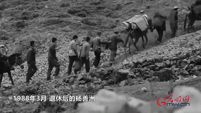 【奋进的中国精神】3亿青山献国家，点赞草鞋书记