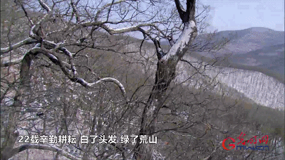 【奋进的中国精神】3亿青山献国家，点赞草鞋书记