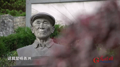 【奋进的中国精神】3亿青山献国家，点赞草鞋书记