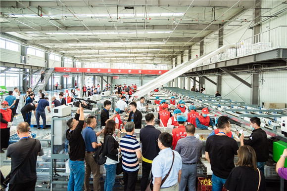 图片8.jpg