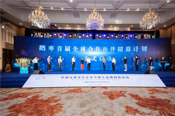 图片11.jpg