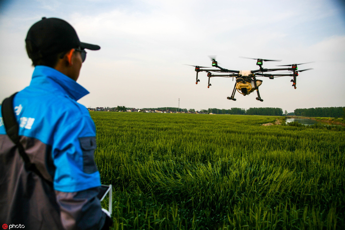 新兴职业无人机驾驶员正在用植保无人机进行喷洒作业