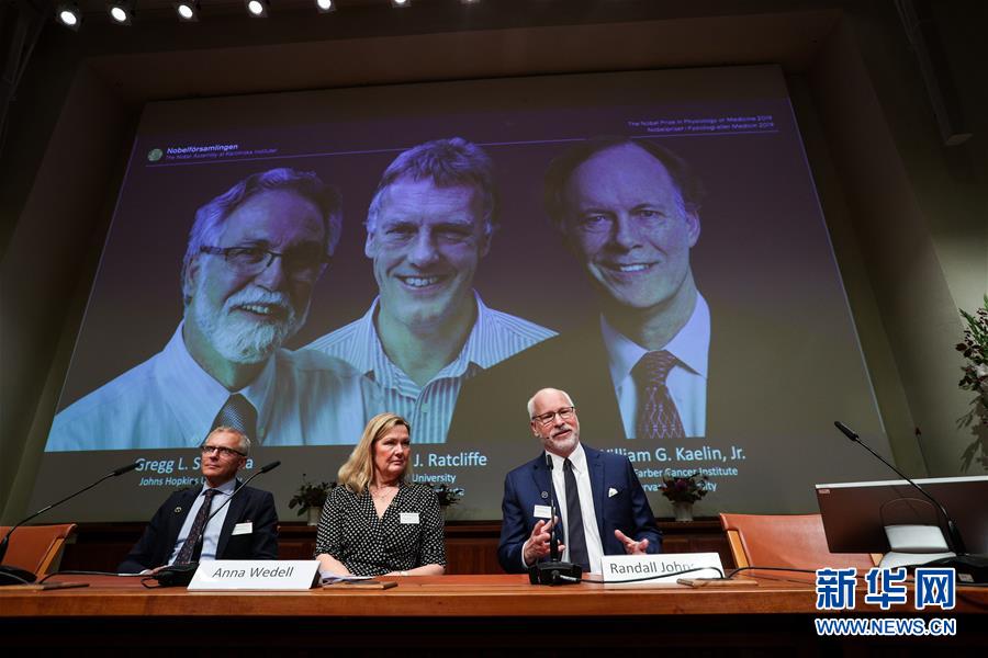 （国际）（1）三名科学家分享2019年诺贝尔生理学或医学奖