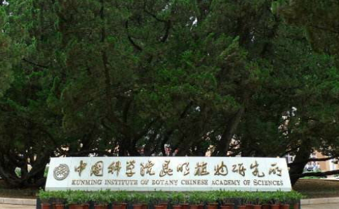 QQ截图20191017104246.png