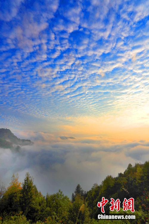 鱼鳞云 现安徽黄山秋空 中国日报网