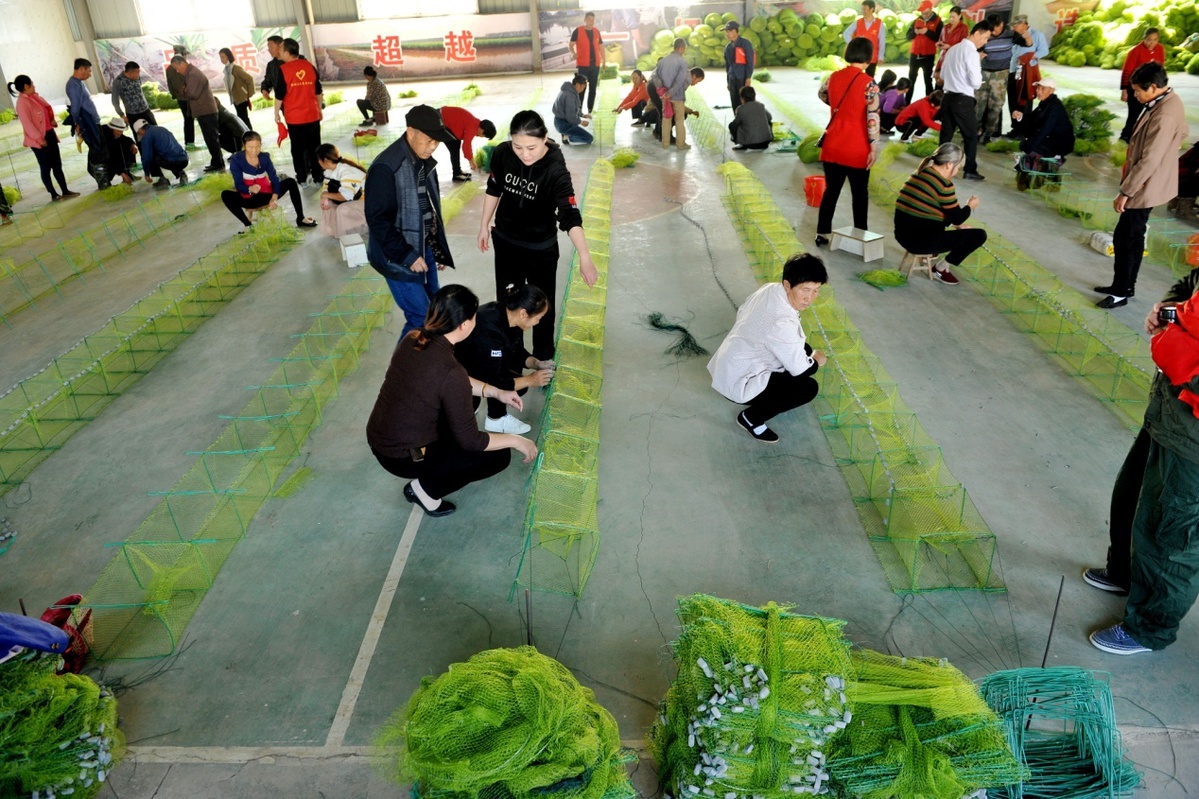 2019年11月2日,江西省鄱阳县乐丰镇虾笼编培训基地,农家妇女正在互帮