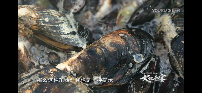 图片4_meitu_4.jpg