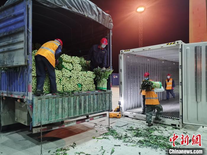 中国“南菜园”广西18小时集结200多吨蔬菜驰援湖北