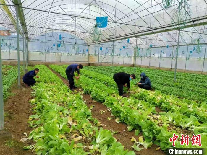 贵州扶贫与战“疫”不漏一户不落一人