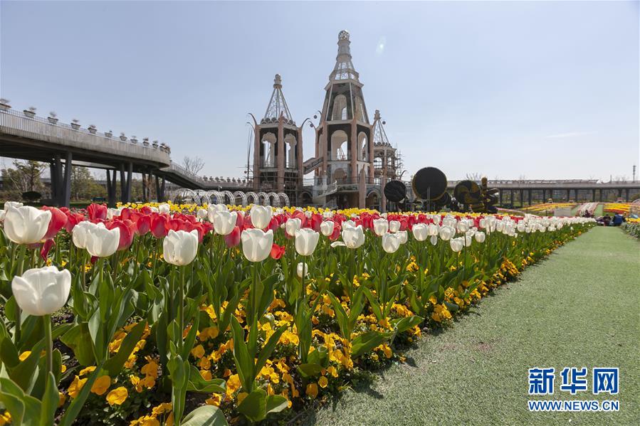 （环境）（2）上海：花开春意浓