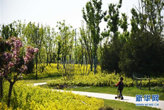 （环境）（4）济南：华山湿地春吹绿