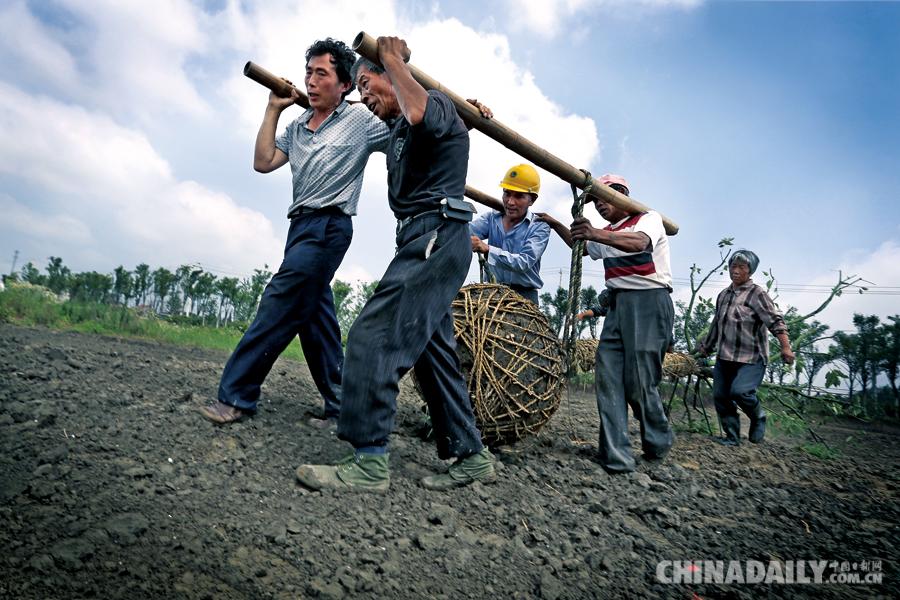 镜头中的中国脱贫攻坚线上图片展之勤劳致富