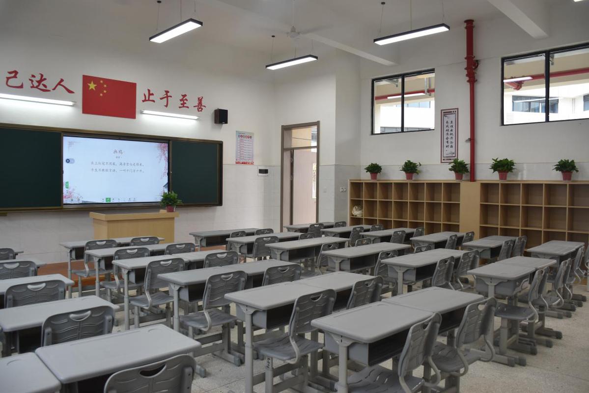 八里湖新区兴城学校图片