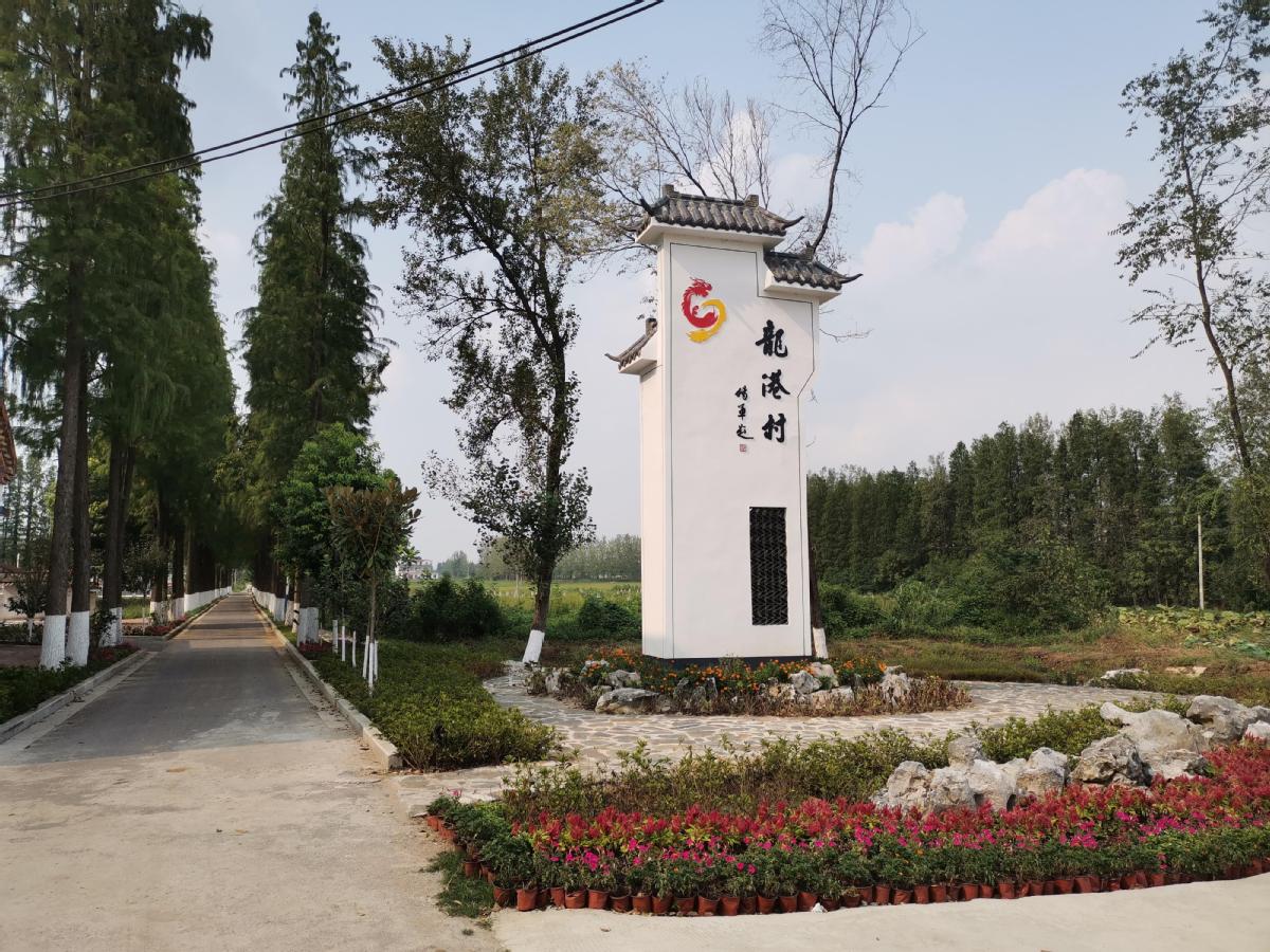 陈淋子镇建大型公园图片