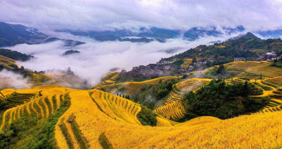 广西龙胜龙脊云海美如画