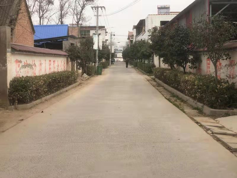 河南冯庄村图片
