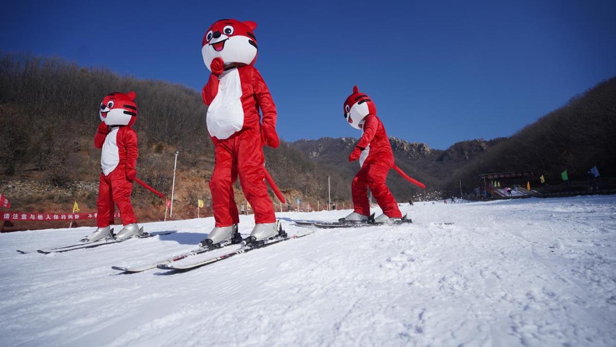 河南禹州 群虎滑雪迎冬奥庆新年