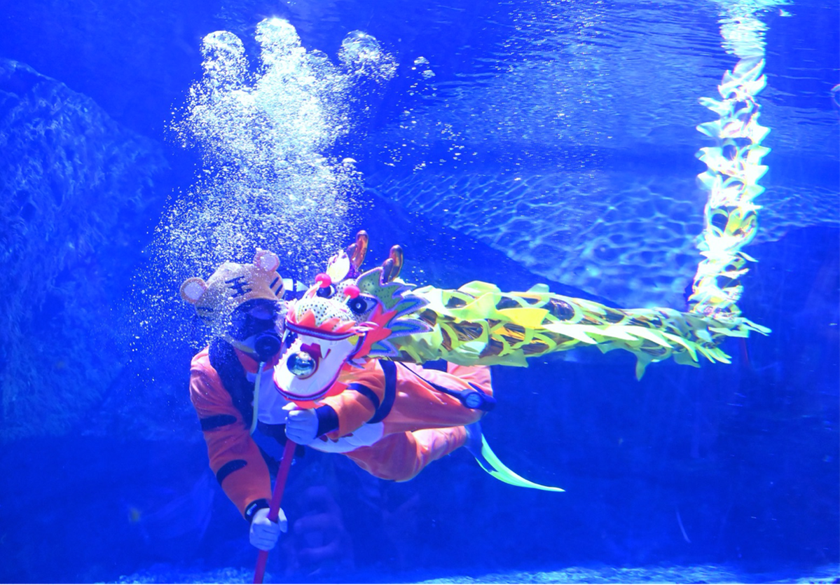 海洋公园视频大全高清 61fde91ea3107be47f2ac455.png