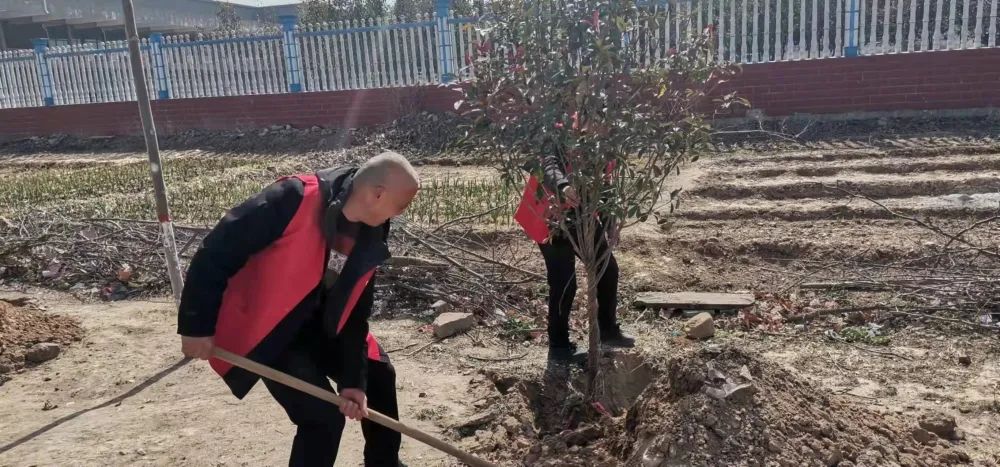 黨員帶頭添新綠義務植樹我先行河南靈寶市西閻鄉綠化熱潮