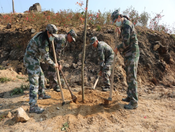 汕頭市南澳縣女子民兵連植綠護綠添新綠活動