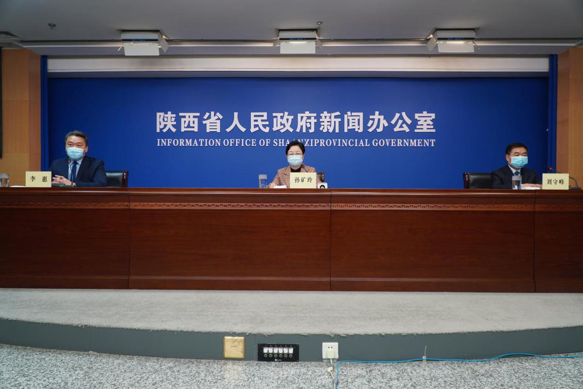陕西省人民政府政府网图片