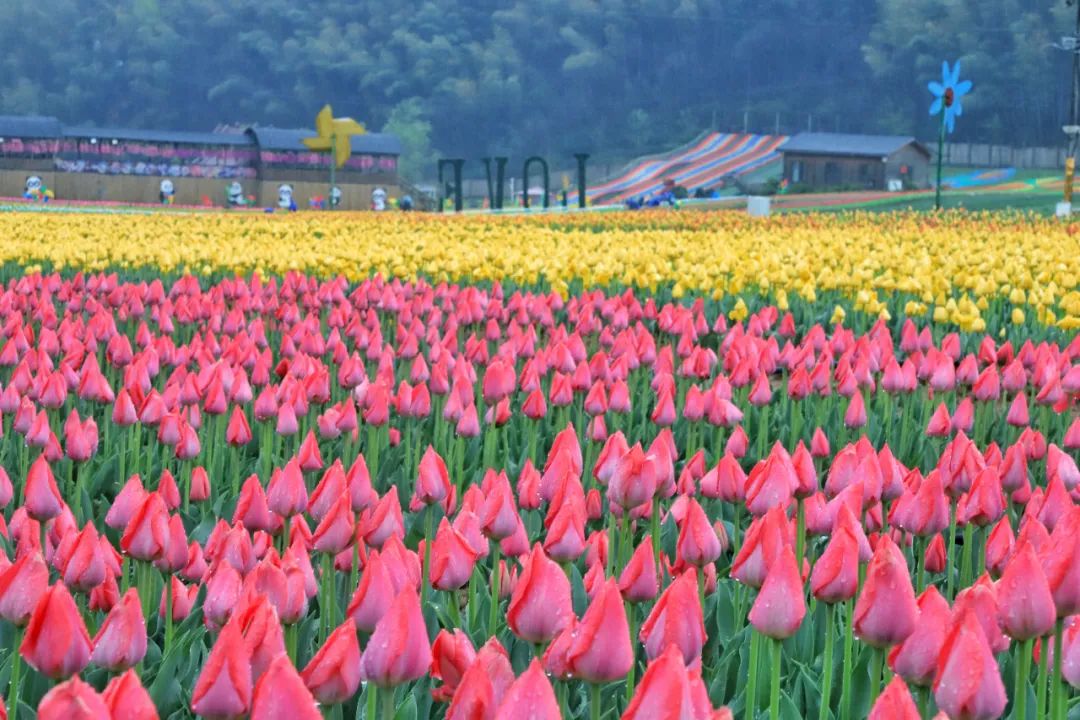 西九华山花千谷景区图片