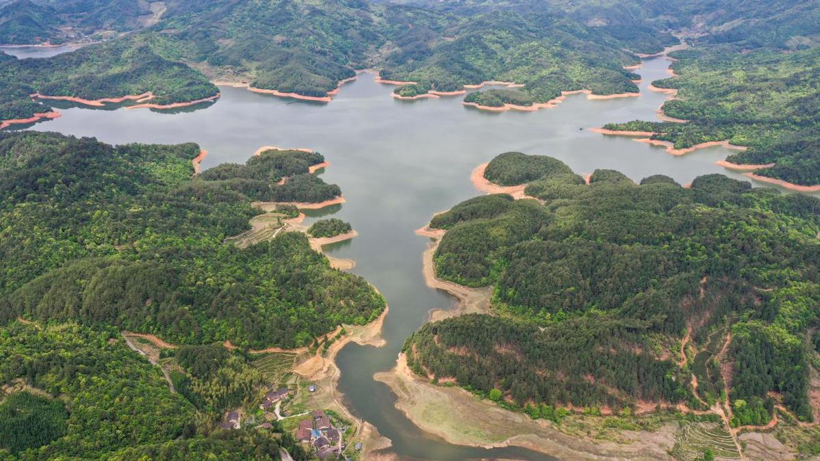 福建武夷山東溪水庫春色美景