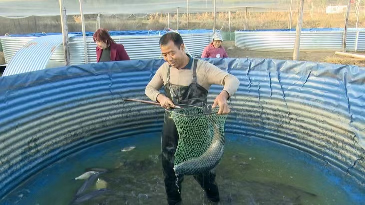 致富经泥鳅养殖_致富养殖泥鳅视频_致富养殖泥鳅怎么样