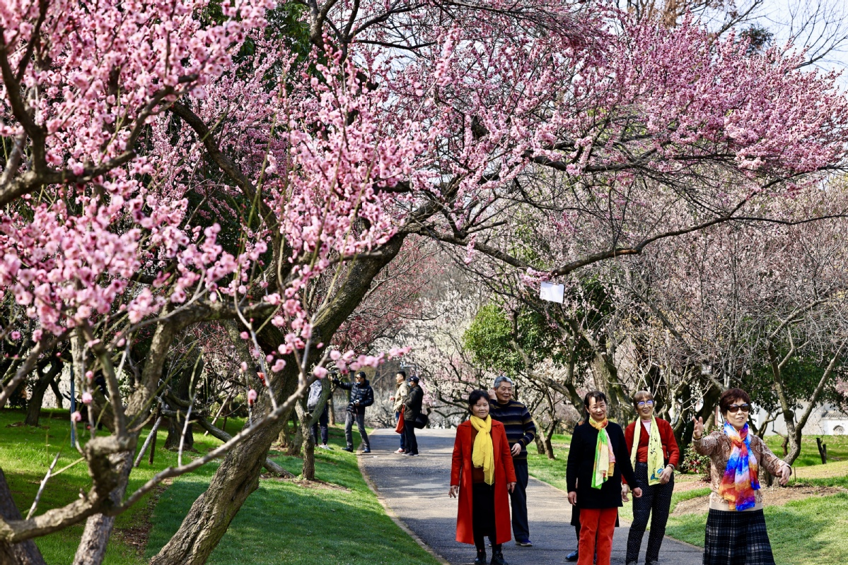 东湖梅花园景区图片图片