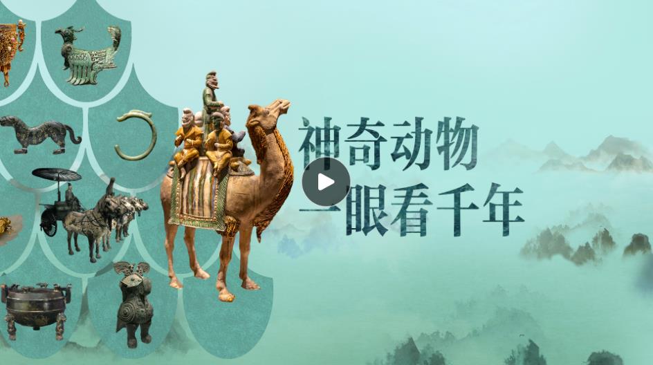博物致知｜博物馆的神奇动物里，藏着“何以中国”的密码- 中国日报网