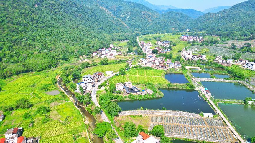 fujian Yongdingĵϰλڷ