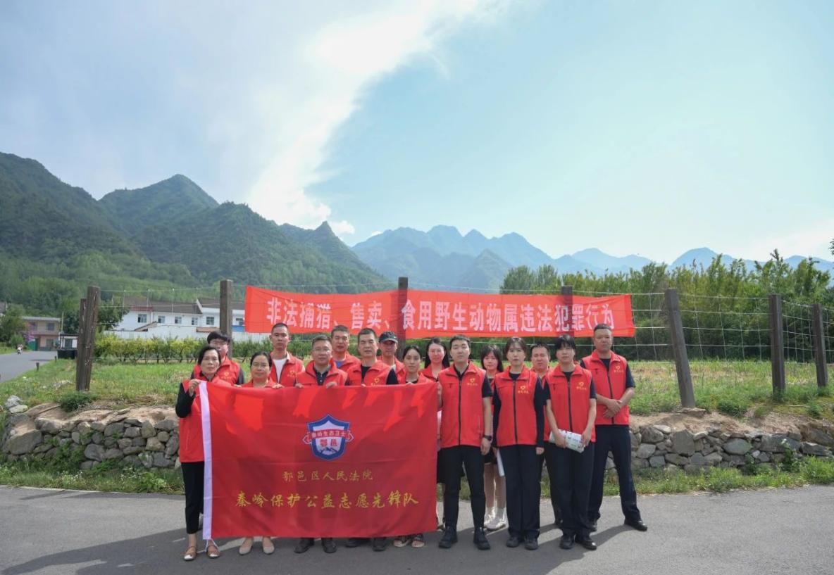 这一天，我们将通过法治保护鸟类的新经验！