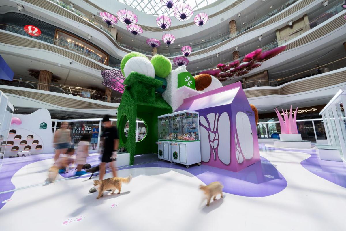 海南暑期旅游再添新体验全岛首个人宠社交空间亮相多元活动促消费(图2)
