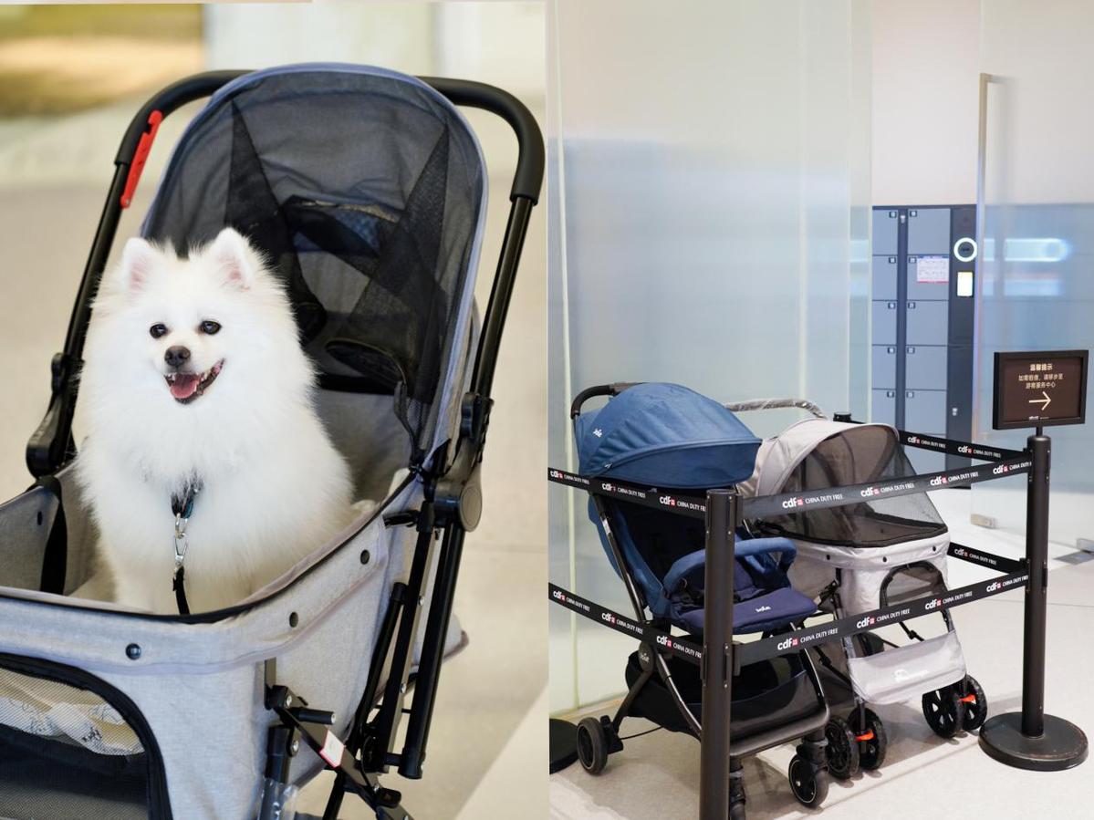 海南暑期旅游再添新体验全岛首个人宠社交空间亮相多元活动促消费(图4)
