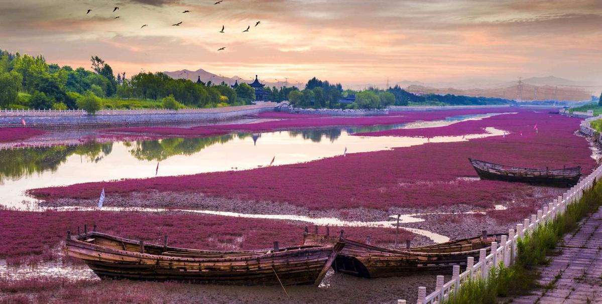 Yingkou Tuanshan海洋公园生态恢复项目在“ Bock Gre