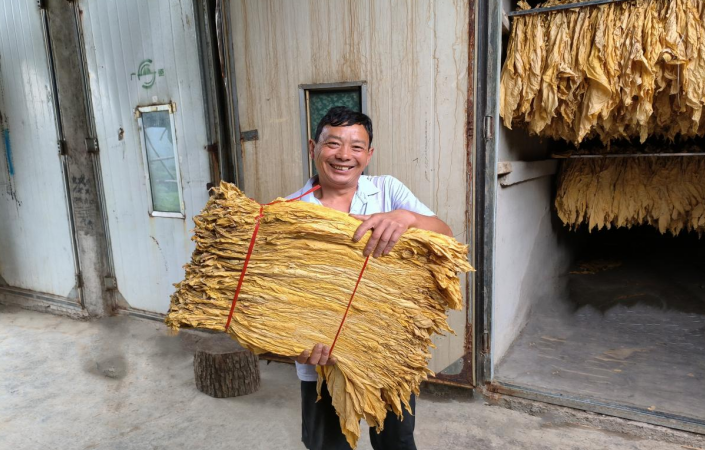 从“ End Mountain Village”到“开发工业土地”  - 在